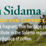 Ethiopia Sidama Organic