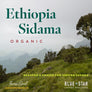 Ethiopia Sidama Organic