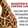 Kenya AA: Roaster's Choice for Coffee Lovers